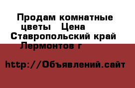 Продам комнатные цветы › Цена ­ 50 - Ставропольский край, Лермонтов г.  »    